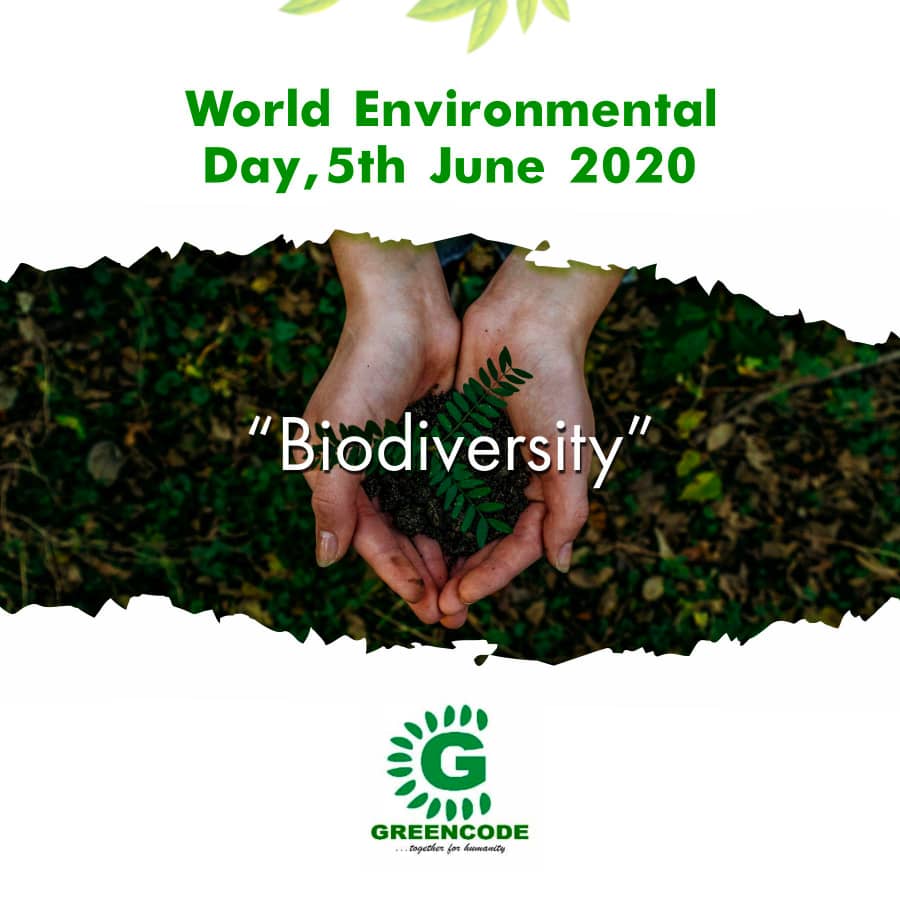World Environmental Day June 5 2020